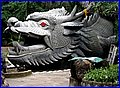 IMG_1019.jpg