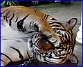 IMG_1113.jpg