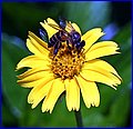IMG_1689.jpg