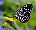 IMG_1781.jpg