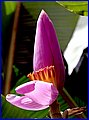 IMG_1983.jpg