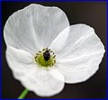 IMG_1996.jpg