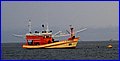 IMG_5155.jpg