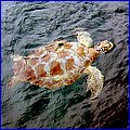 IMG_5164.jpg