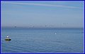 _MG_2367.jpg