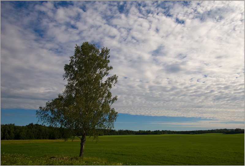 _MG_2609.jpg