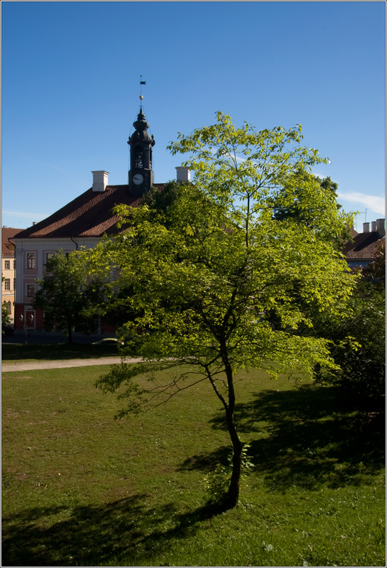 _MG_2627.jpg
