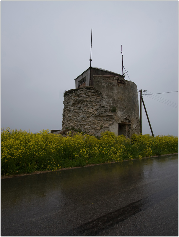 _MG_2902.jpg