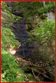 _MG_2774.jpg