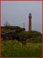 _MG_2889.jpg