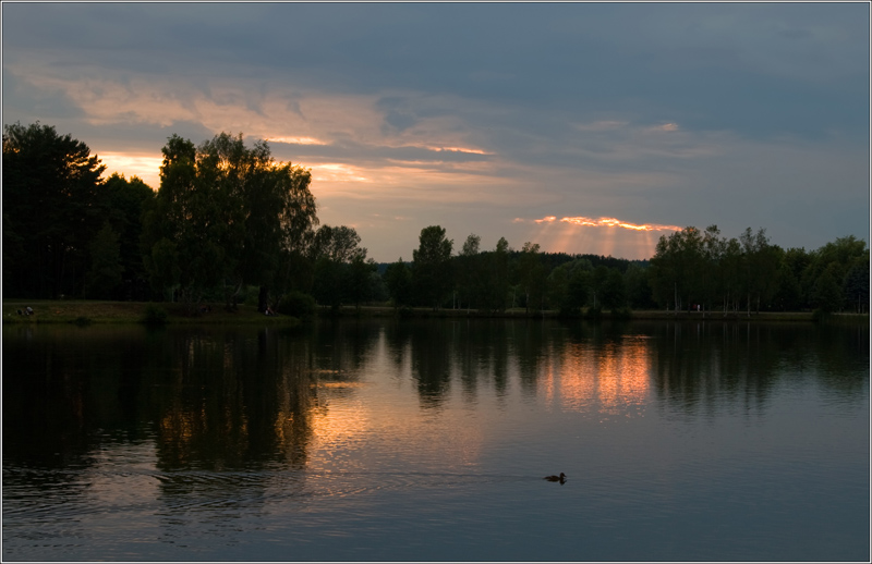 _MG_3383.jpg
