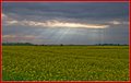 _MG_3367.jpg