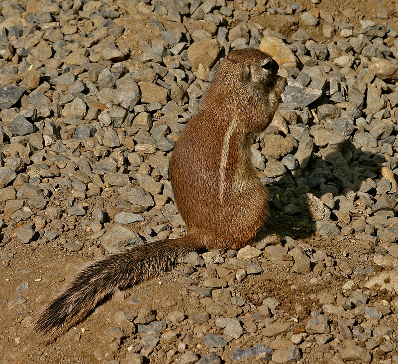 IMG_3392.jpg