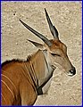 IMG_3445.jpg
