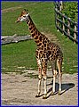 IMG_3454.jpg