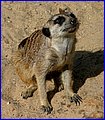 IMG_3480.jpg