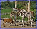IMG_3483.jpg