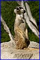 IMG_3521.jpg