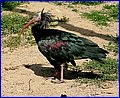 IMG_3567.jpg