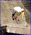 IMG_3570.jpg