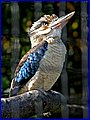 IMG_3619.jpg
