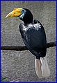 IMG_3640.jpg
