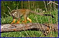 IMG_3717.jpg