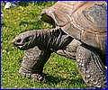 IMG_3728.jpg