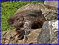 IMG_3750.jpg