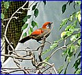 IMG_3764.jpg