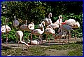 IMG_3768.jpg
