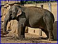 IMG_3828.jpg