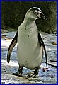IMG_3937.jpg