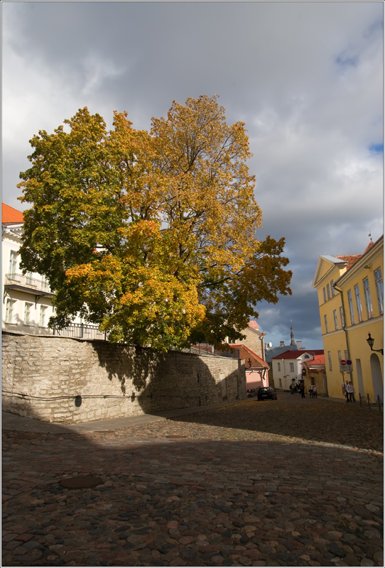 _MG_6083.jpg