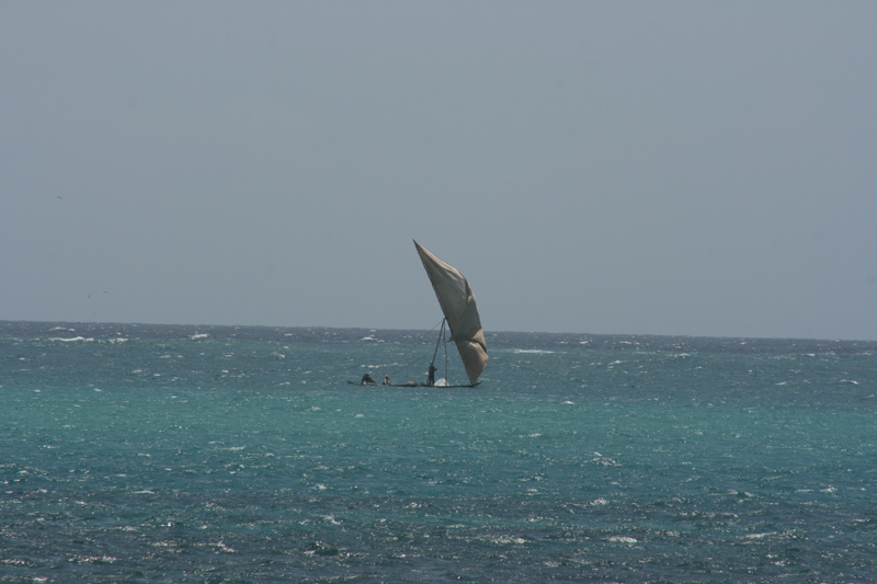 IMG_0241.jpg