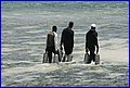 IMG_0245.jpg