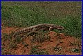 IMG_0579.jpg