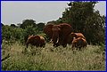 IMG_0619.jpg