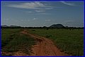 IMG_0773.jpg