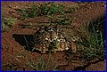 IMG_0776.jpg