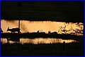 IMG_0824.jpg