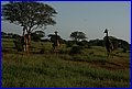IMG_0902.jpg