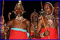 IMG_1012.jpg
