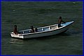 IMG_1103.jpg