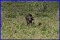 IMG_1166.jpg