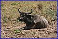 IMG_1180.jpg