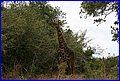 IMG_1209.jpg