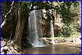 IMG_1239.jpg