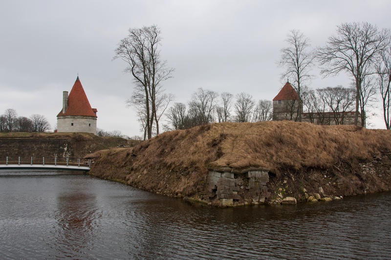 _MG_3101.jpg