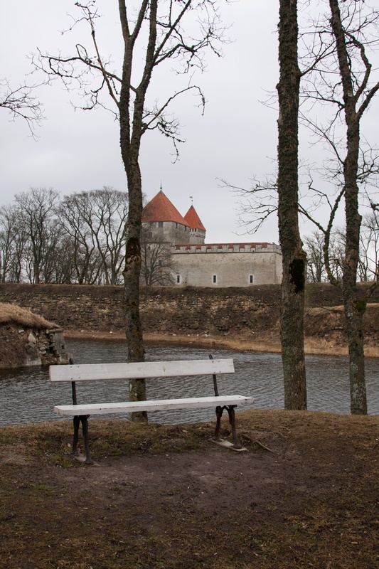 _MG_3103.jpg